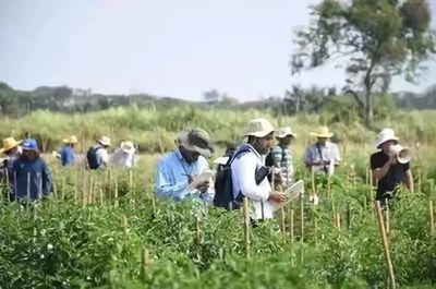 國外鄉(xiāng)村旅游開發(fā)模式及案例解析 種植技術(shù)開發(fā)的創(chuàng)新路徑
