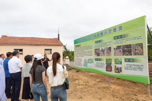 綠富雙贏 全市林下經(jīng)濟(jì)產(chǎn)業(yè)發(fā)展觀摩活動(dòng)暨種植技術(shù)開(kāi)發(fā)新篇章