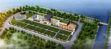 青島海水稻研發(fā)中心揭牌，首代稻種預(yù)計(jì)11月問(wèn)世，技術(shù)開(kāi)發(fā)引領(lǐng)農(nóng)業(yè)新篇章